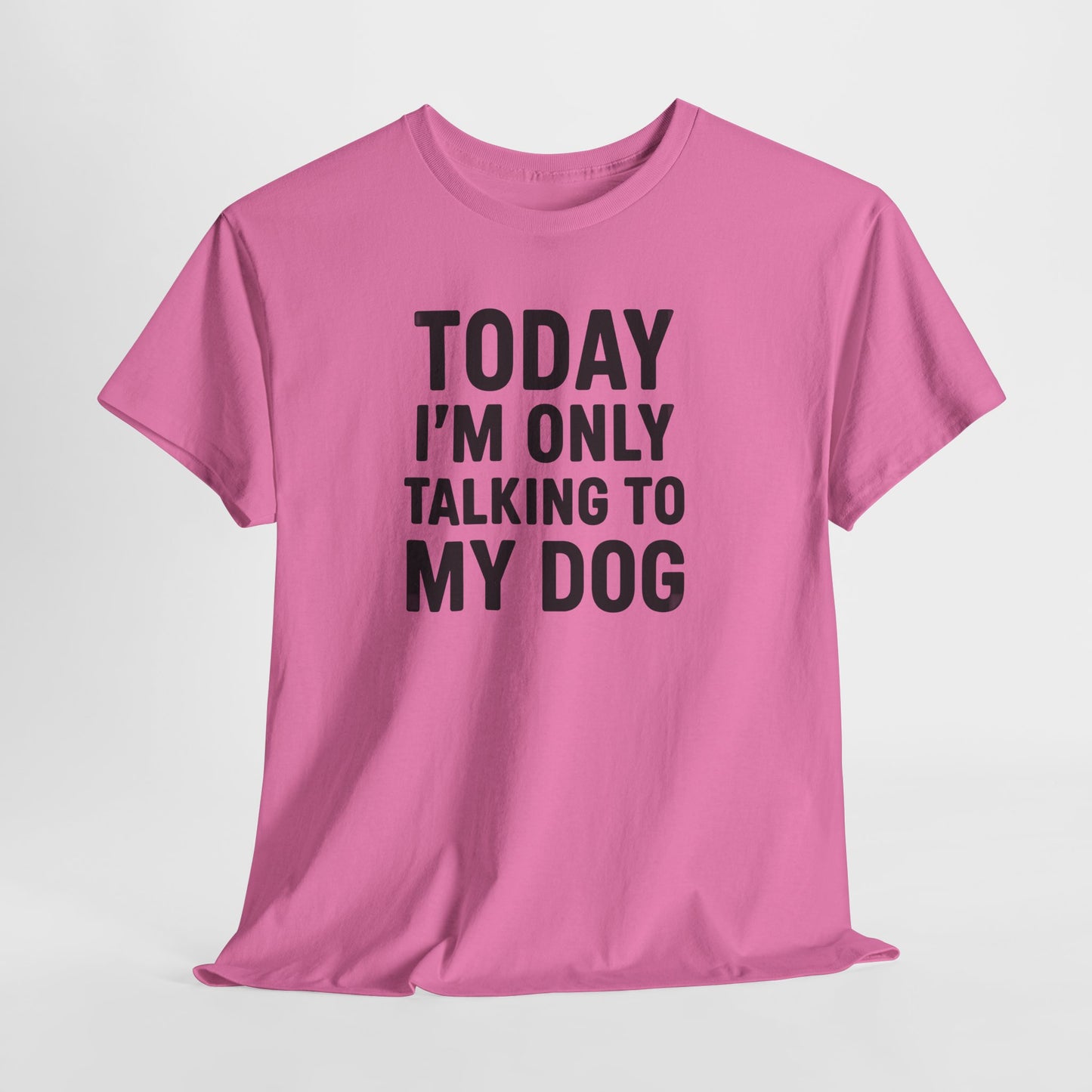 Today I'm Only Talking To My Dog Shirt