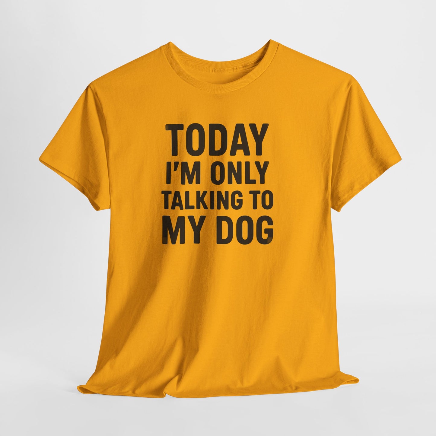 Today I'm Only Talking To My Dog Shirt