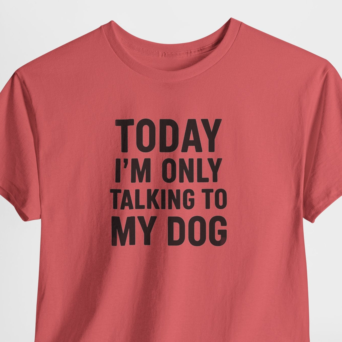 Today Im Only Talking To My Dog Shirt